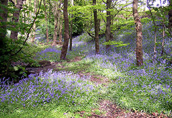 Stacks Image 2250