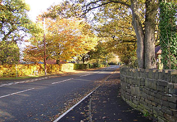 Stacks Image 2244
